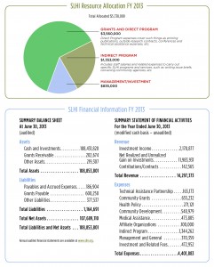 FY2013Financials